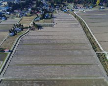 令和２年度 草岡一期地区水田農業低コスト・高付加価値化基盤整備事業(一般型)第２工区工事：画像